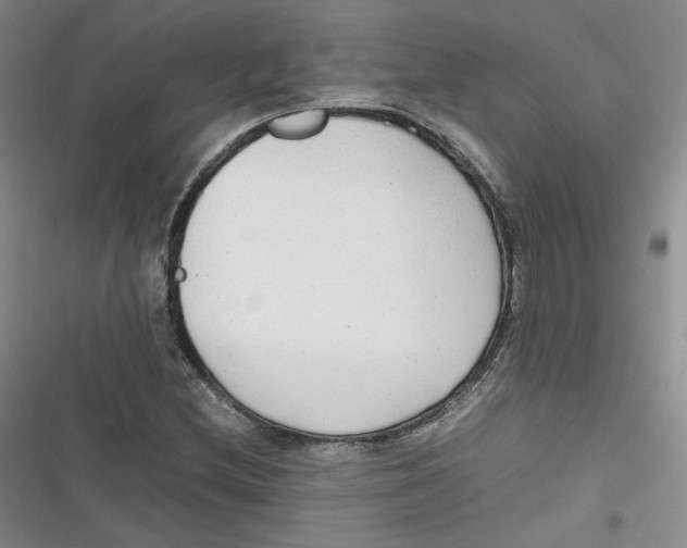 X0000116661212201001111243