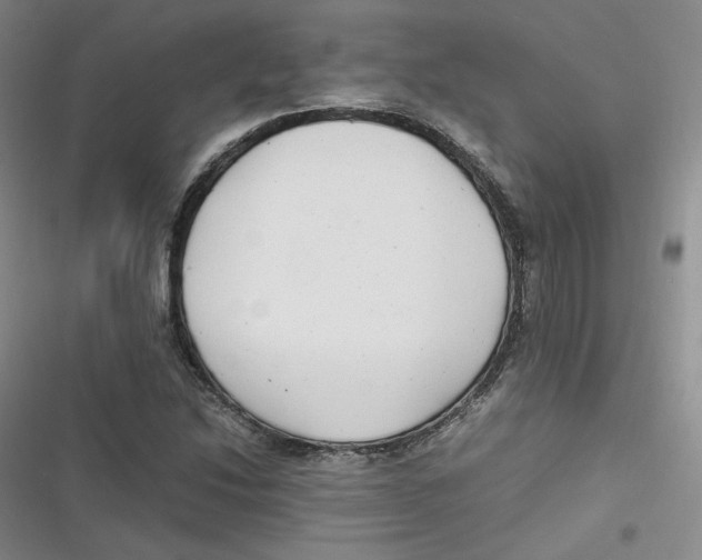 X0000116661214201001111243