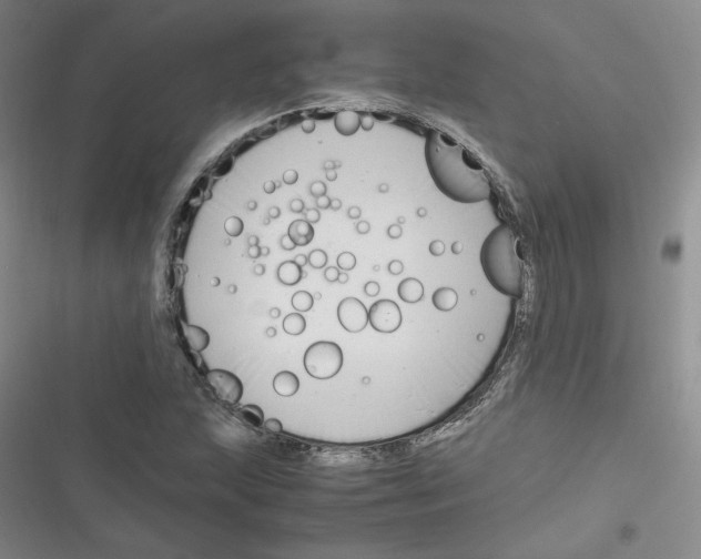 X0000116661215201001111243