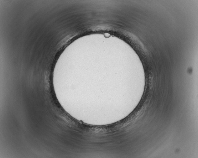 X0000116661217201001111243