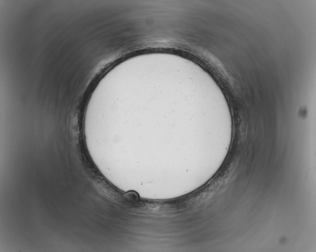 X0000116661218201001111243