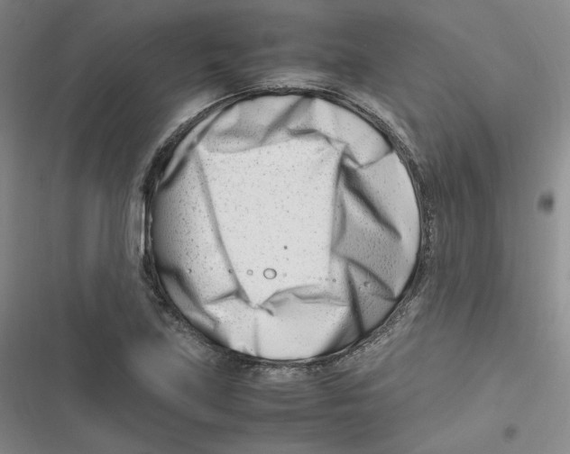 X0000116661219201001111243
