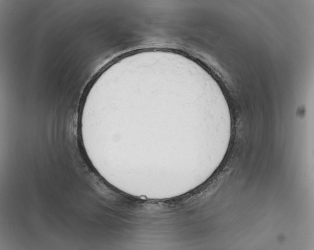 X0000116661220201001111243