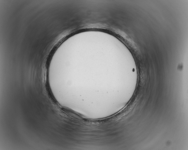 X0000116661221201001111243