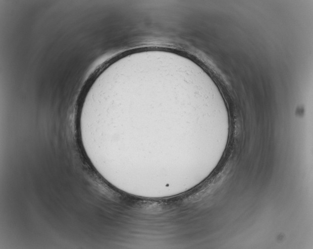 X0000116661222201001111243