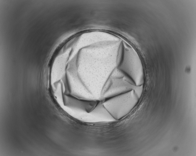 X0000116661223201001111243