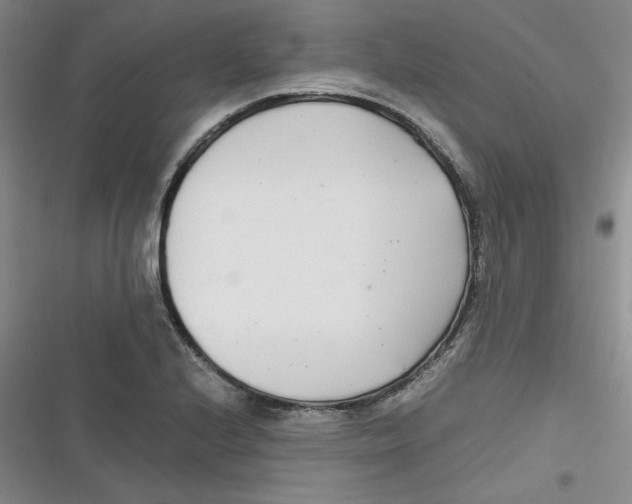 X0000116661224201001111243