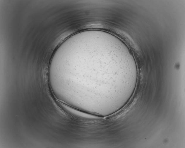 X0000116661225201001111243