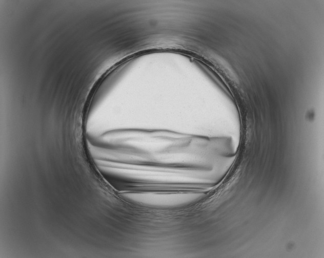 X0000116661226201001111243