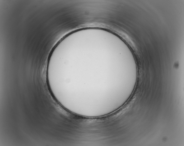 X0000116661228201001111243