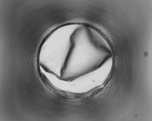 X0000116661229201001111243