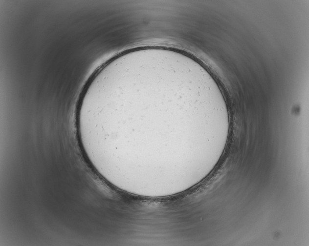 X0000116661230201001111243