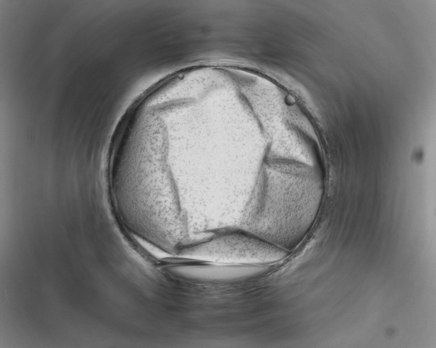 X0000116661231201001111243