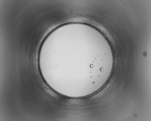 X0000116661232201001111243