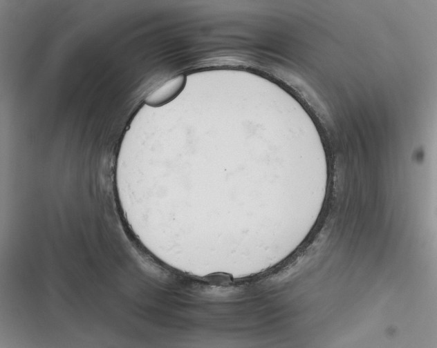 X0000116661233201001111243