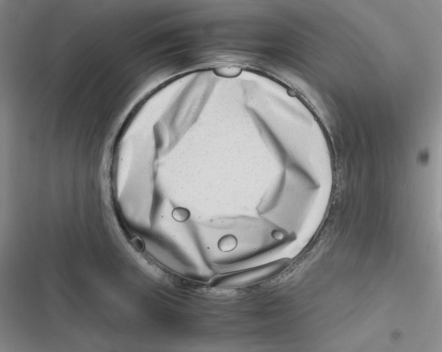 X0000116661235201001111243