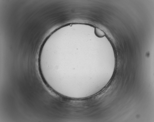 X0000116661237201001111243