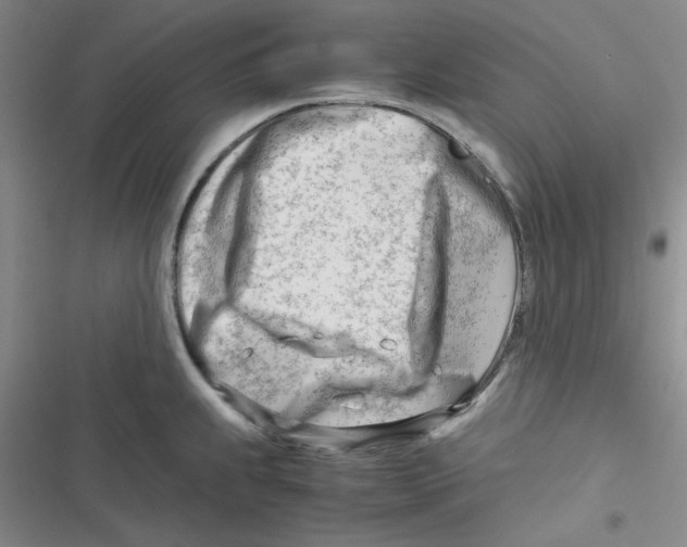 X0000116661239201001111243