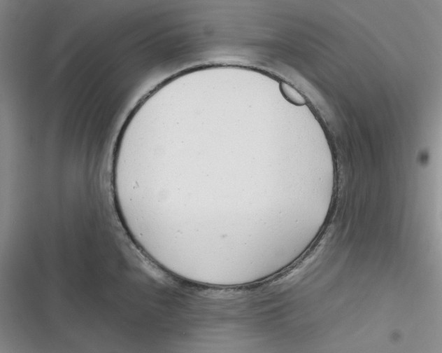X0000116661240201001111243