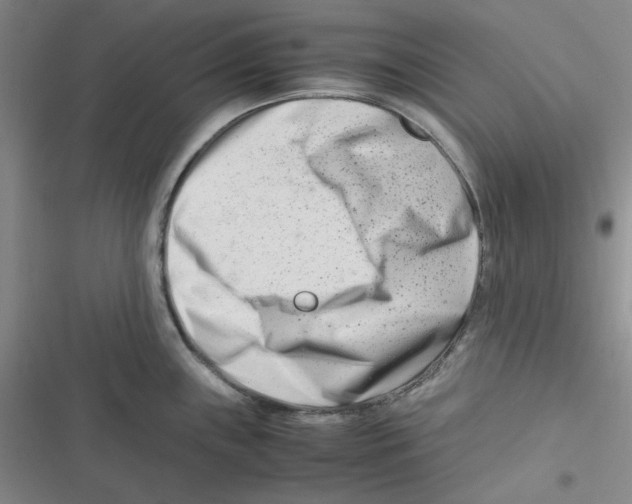 X0000116661243201001111243