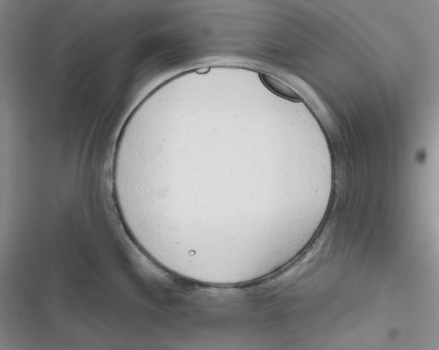 X0000116661244201001111243