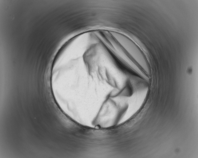 X0000116661246201001111243