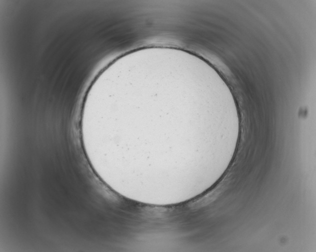X0000116661248201001111243