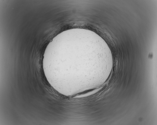 X0000116661250201001111243