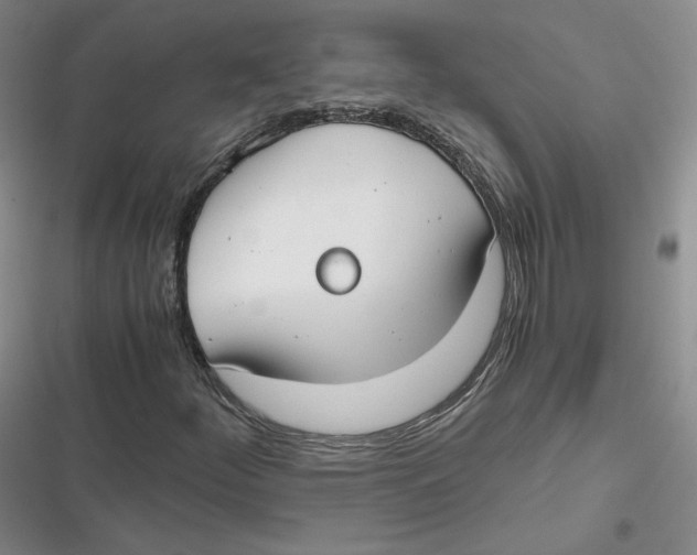 X0000116661252201001111243