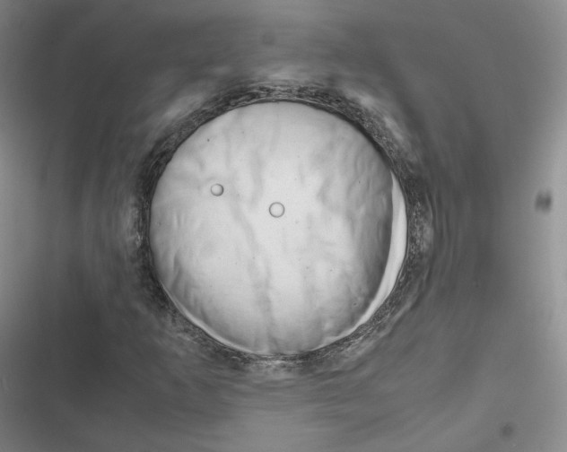 X0000116661253201001111243