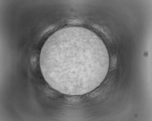 X0000116661254201001111242
