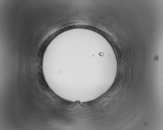 X0000116661255201001111242