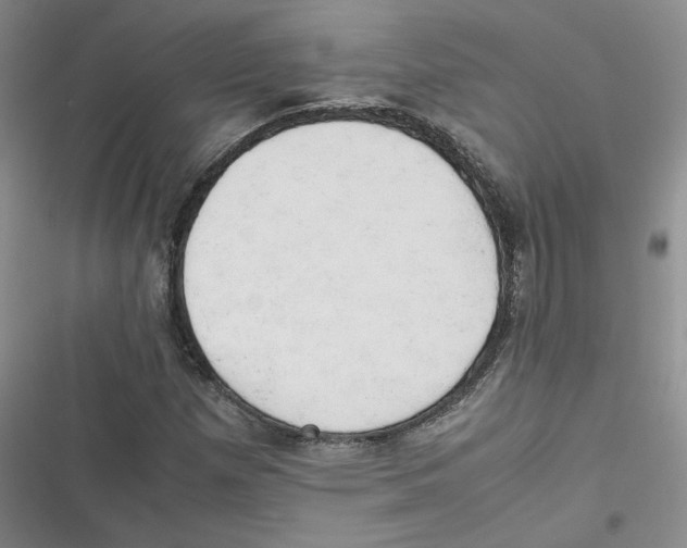 X0000116661257201001111242