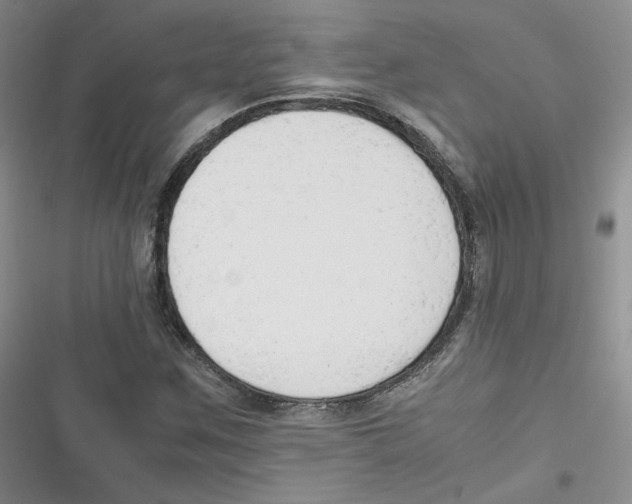 X0000116661259201001111242