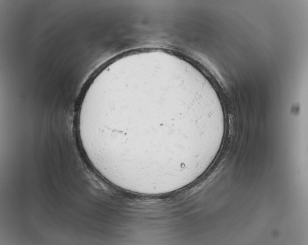 X0000116661260201001111242