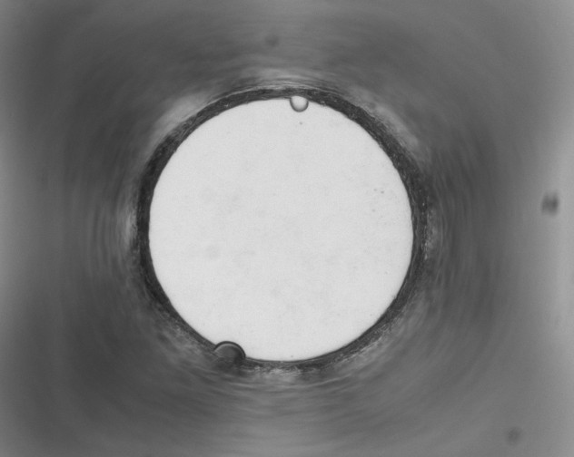 X0000116661261201001111242