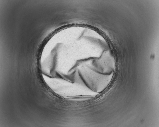 X0000116661263201001111242