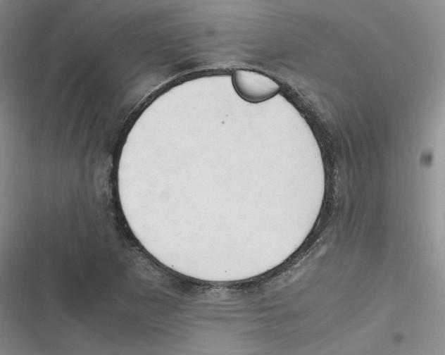 X0000116661265201001111242