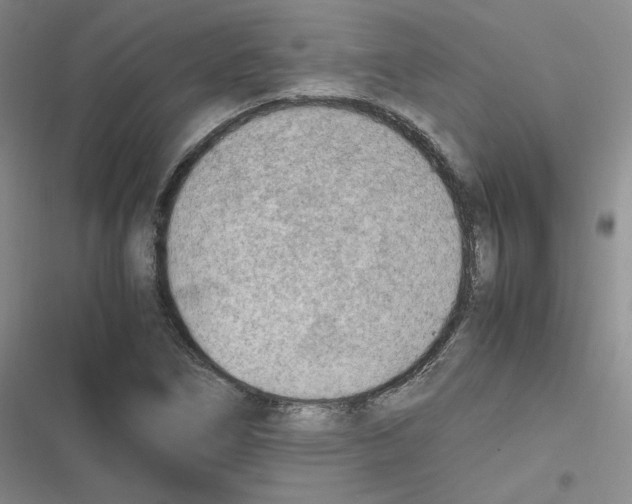 X0000116661266201001111242