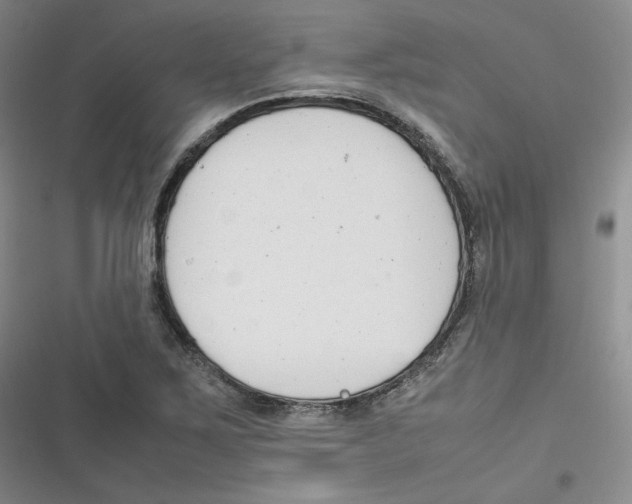 X0000116661267201001111242