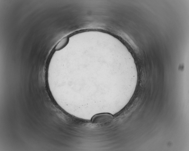 X0000116661268201001111242