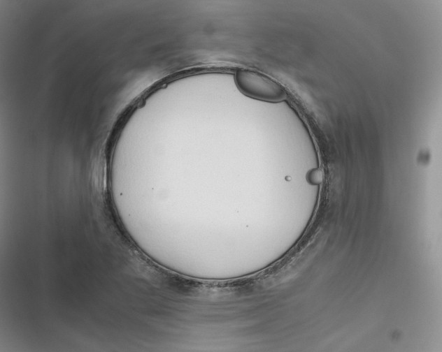 X0000116661269201001111242
