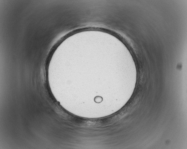X0000116661271201001111242