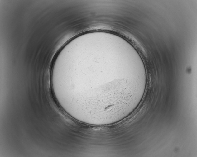 X0000116661274201001111242