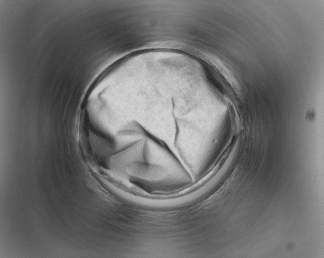 X0000116661276201001111242
