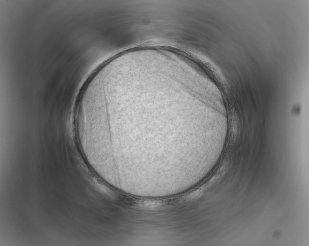 X0000116661278201001111242