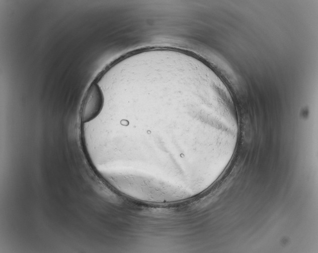X0000116661280201001111242