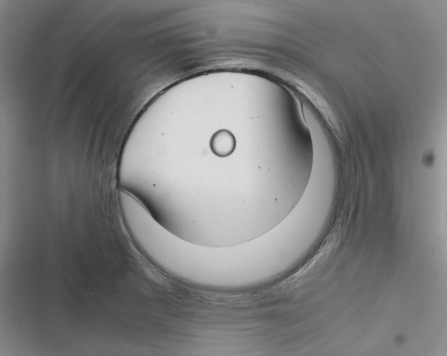 X0000116661281201001111242