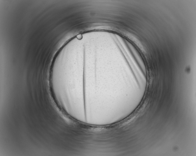 X0000116661282201001111242
