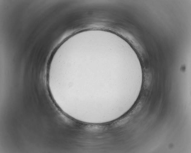 X0000116661286201001111242